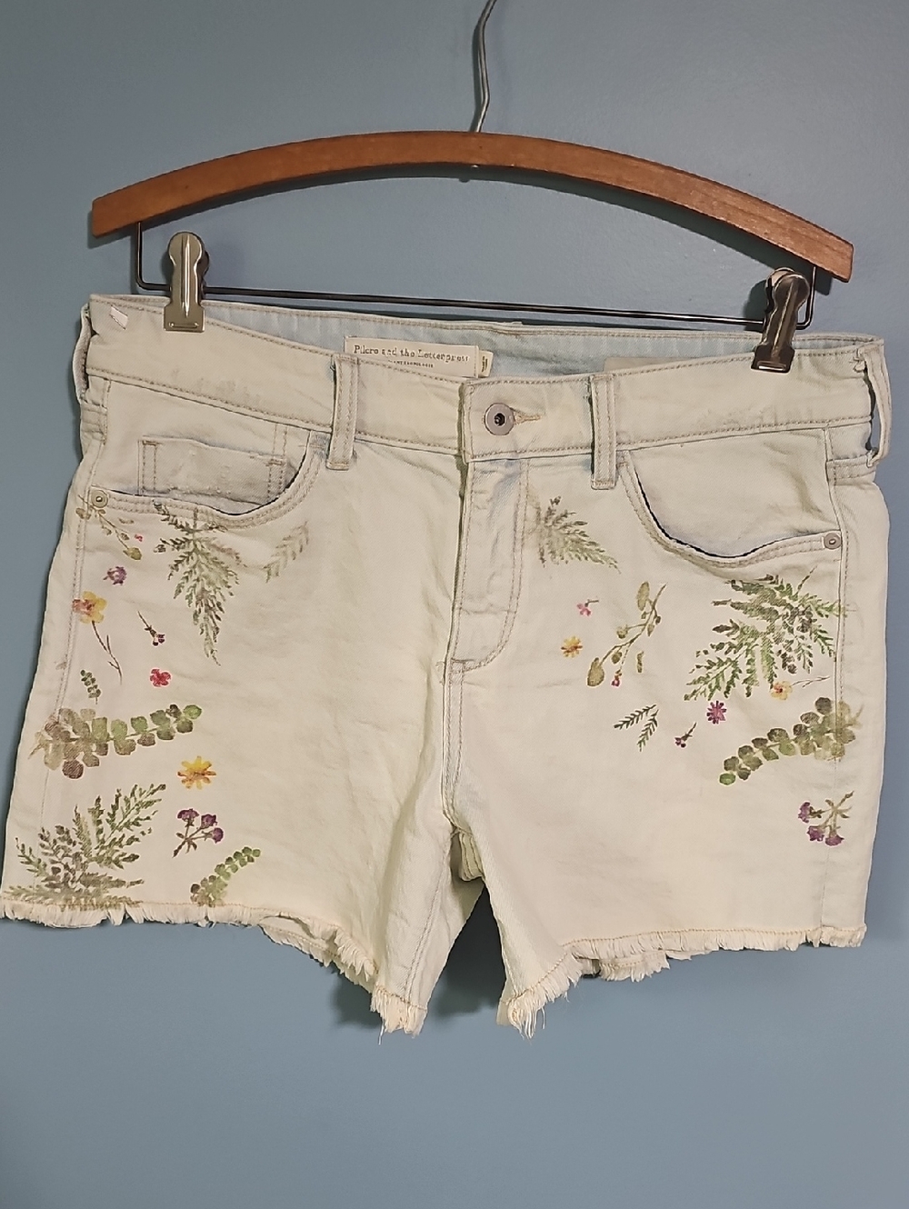 Anthropologie Pilcro and the Letterpress Florise High-Rise Slim Denim Shorts